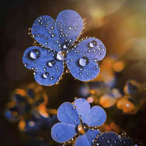 سپهر خلسه صداتو نمیشنوه کسی آخه نت ها قطعه